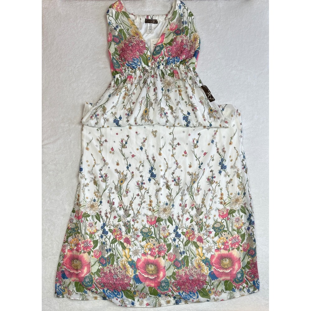 Mon Ami USA Floral Maxi Dress White Pink Blue V-Neck‎ Empire Waist Large FT5610